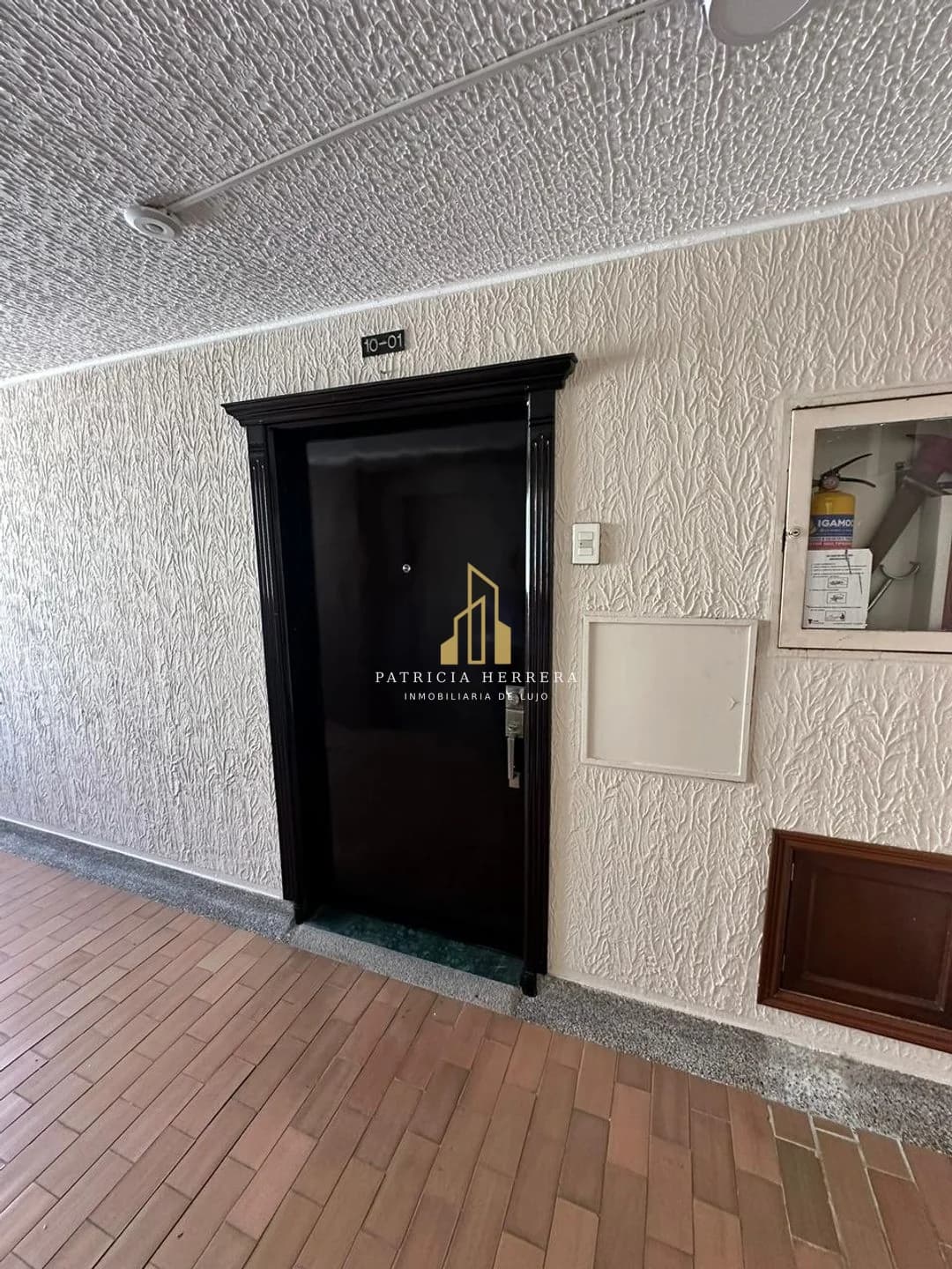 Apartamento - Sotomayor - 260 Metros 4