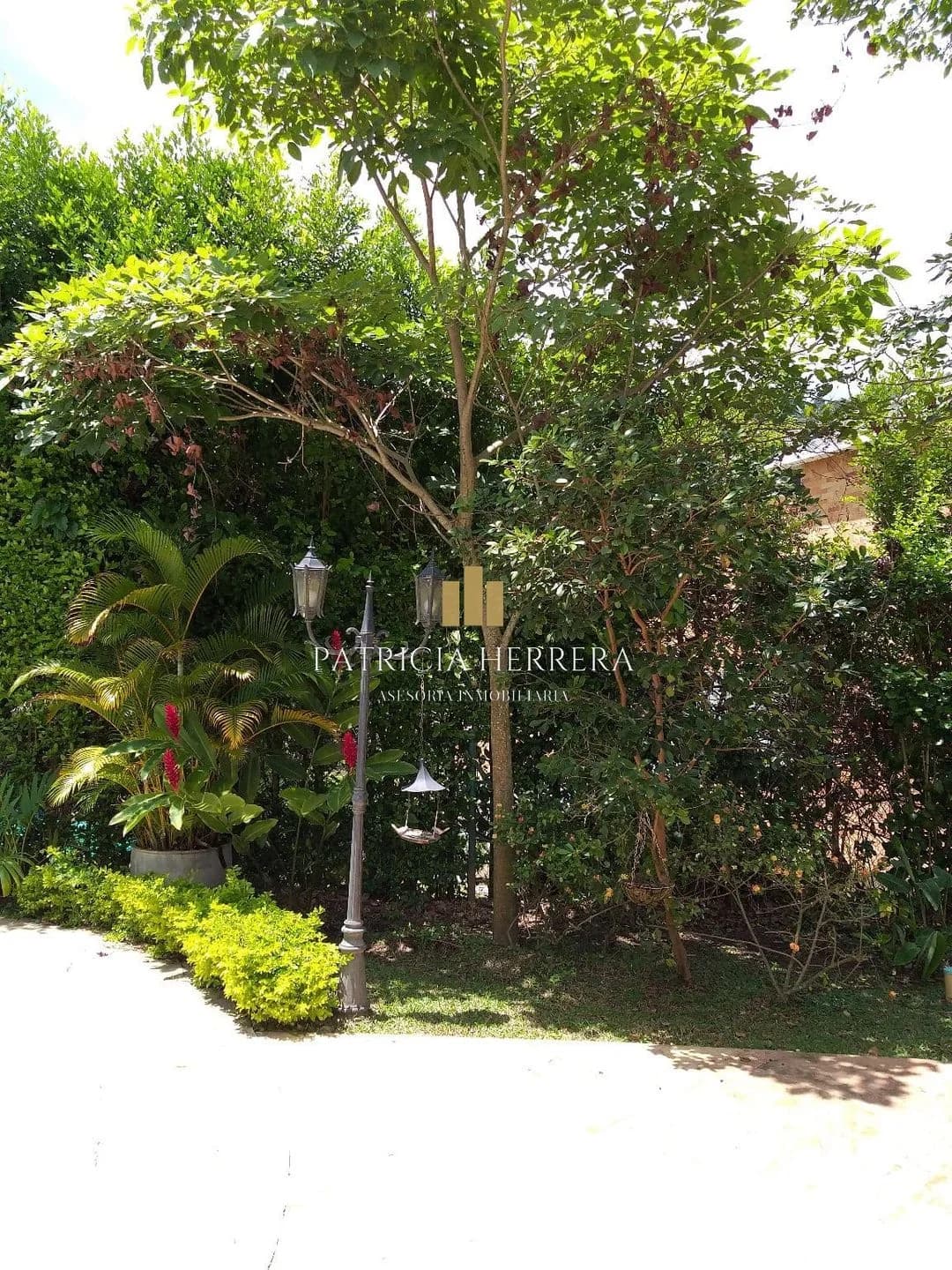 Casa en Menzuly — foto 8