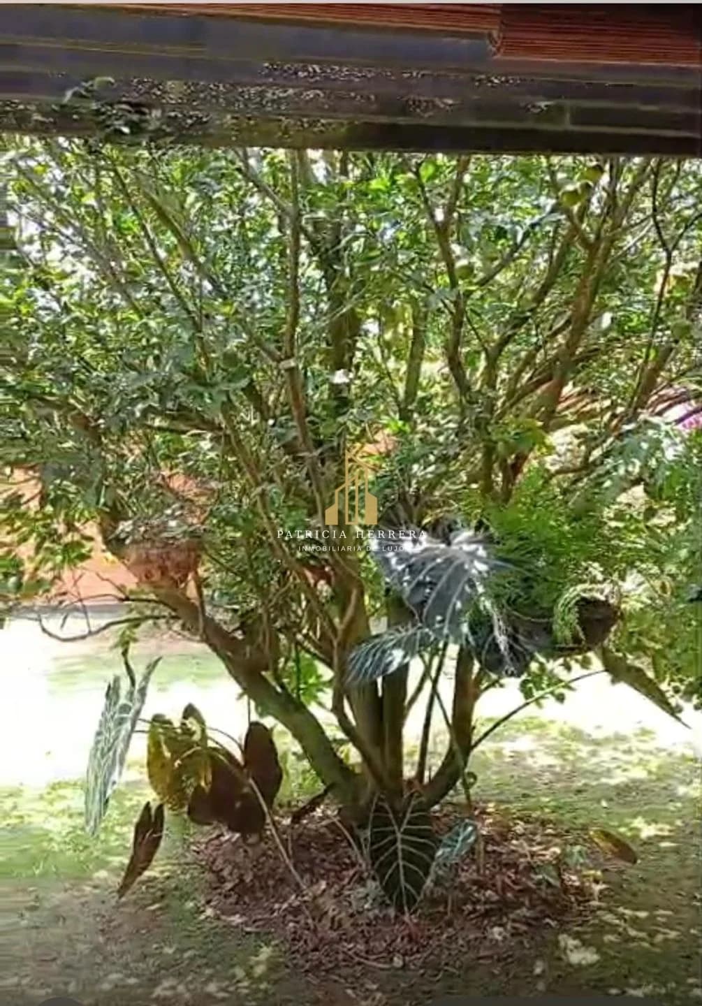 Casa en Lagos del Cacique — foto 3
